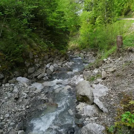 Lejlighed Forest View In By Interlaken With No Kitchen *