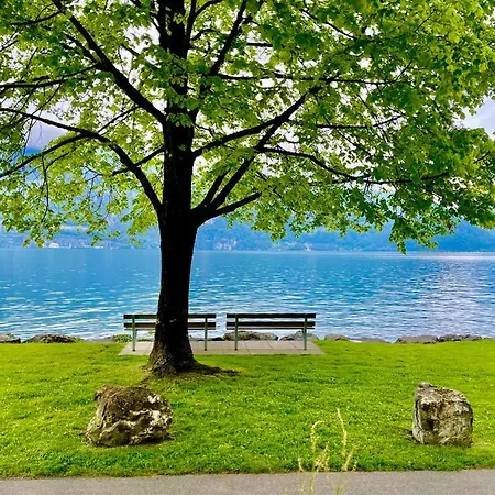 Lejlighed Forest View In By Interlaken With No Kitchen