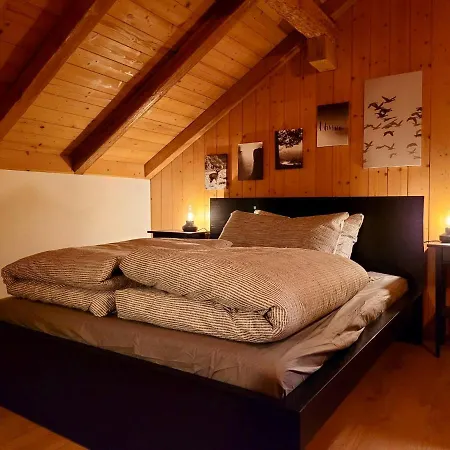 Forest View In By Interlaken With No Kitchen ليسيغن