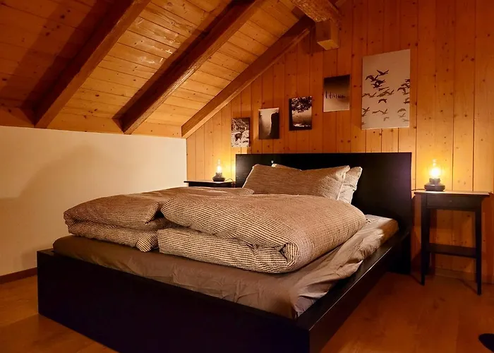 Forest View In By Interlaken With No Kitchen Leissigen