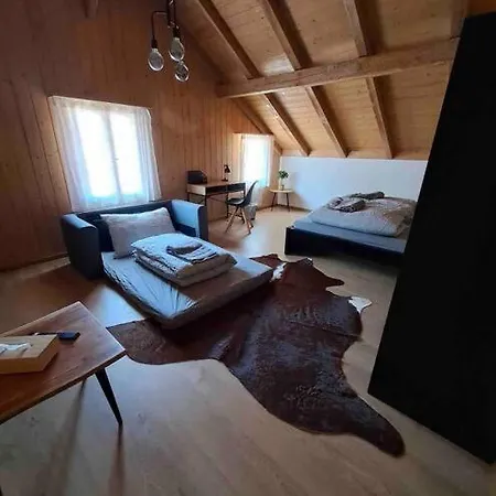 Forest View In By Interlaken With No Kitchen Apartman Leissigen