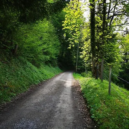 Forest View In By Interlaken With No Kitchen Apartman