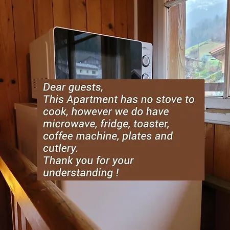 Forest View In By Interlaken With No Kitchen * Leissigen