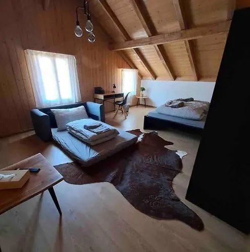 Forest View In By Interlaken With No Kitchen Apartament Leissigen
