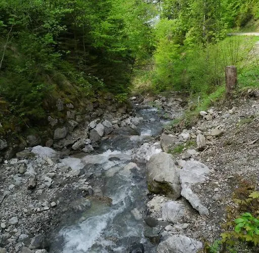 Apartament Forest View In By Interlaken With No Kitchen *
