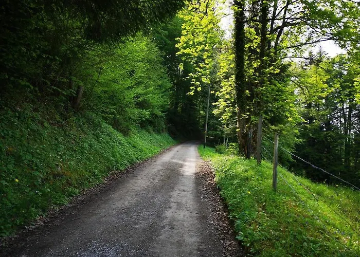 Forest View In By Interlaken With No Kitchen Apartament