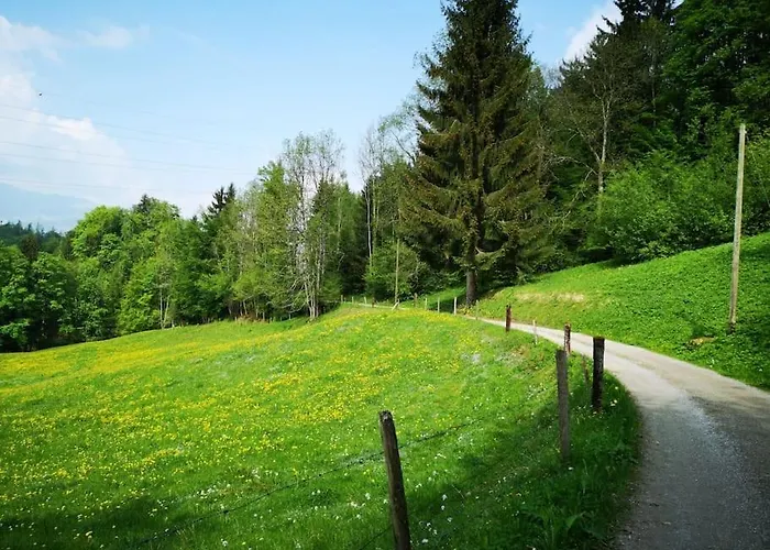 Apartament Forest View In By Interlaken With No Kitchen *