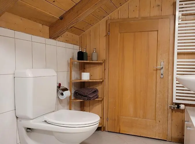 Apartament Forest View In By Interlaken With No Kitchen Leissigen