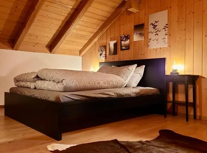 Forest View In By Interlaken With No Kitchen Apartament