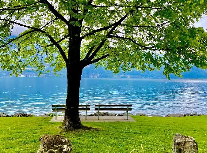 Apartament Forest View In By Interlaken With No Kitchen