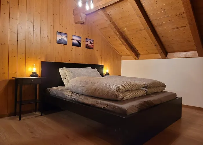 Apartament Forest View In By Interlaken With No Kitchen